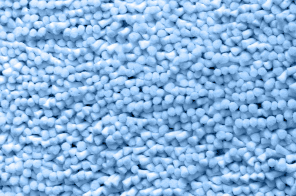 cheap carpet cleaning in New York