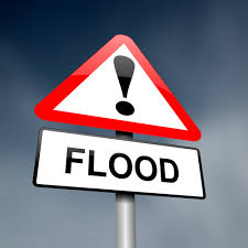 house floods in metro detroit