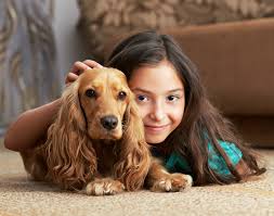 carpet cleaning metro detroit methods