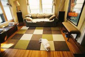 local carpet cleaners centerline