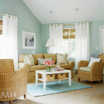 professional carpet cleaners centerline