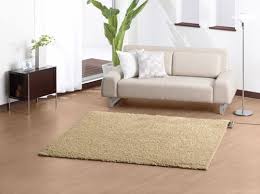 carpet cleaning in orchard lake village