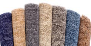 local carpet cleaners  Michigan